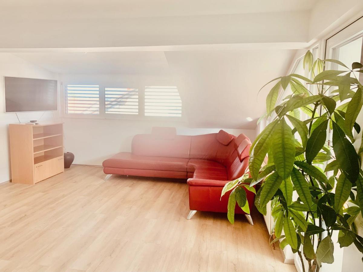 Apartma Frigo マリボル エクステリア 写真